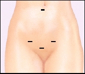 Image of abdomen